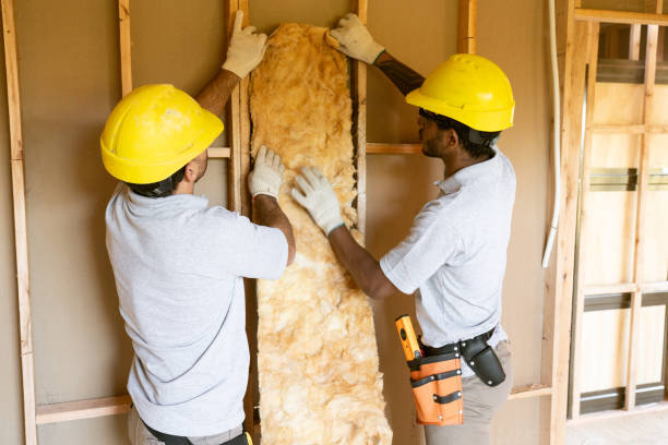 Best Batt and Roll Insulation  in Paris, KY